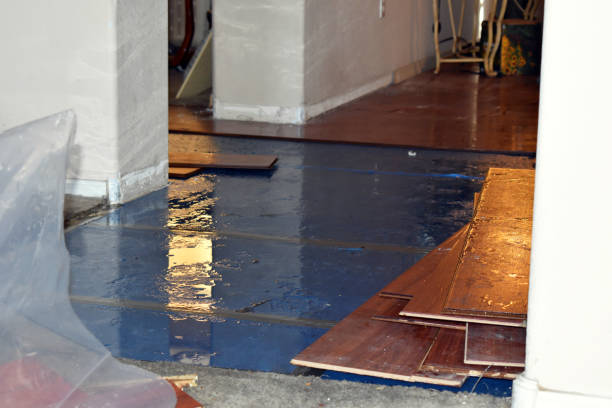 Professional Burst Pipe Cleanup technician working in Kittery, ME